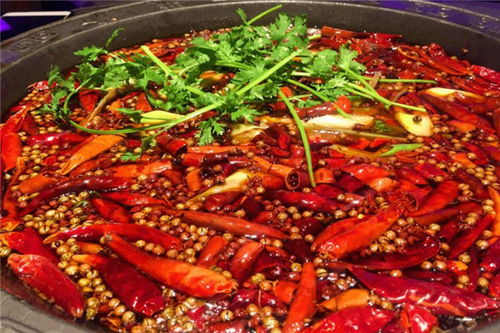 龍里火鍋加盟 傳統火鍋與現代燜鍋的雙重優勢